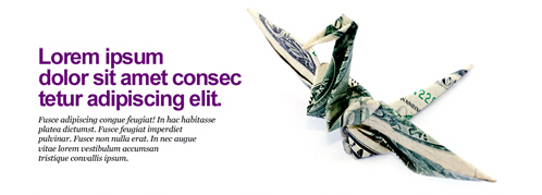 洛陽網(wǎng)站建設(shè)