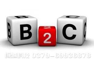 洛陽(yáng)B2C網(wǎng)站開(kāi)發(fā)