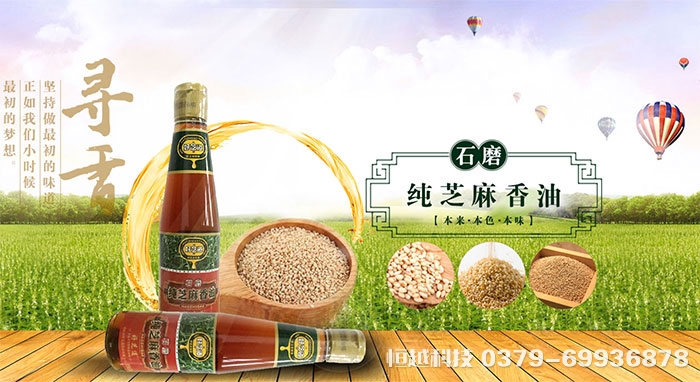 洛陽做網(wǎng)站